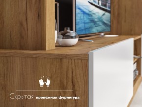 Гостиная Флекс в Усолье - usole.magazinmebel.ru | фото - изображение 4