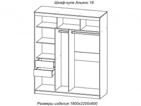 Шкаф-купе Альянс 18 комплект зеркал №4 в Усолье - usole.magazinmebel.ru | фото - изображение 2