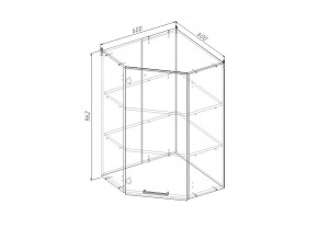 ВУП960 Модуль верхний Угловой МВУ9 в Усолье - usole.magazinmebel.ru | фото